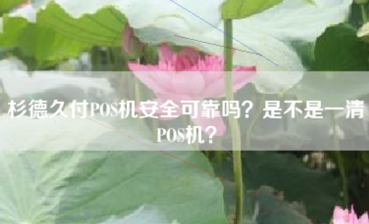 杉德支付POS机是一清机吗（杉德支付POS机的安全性如何）